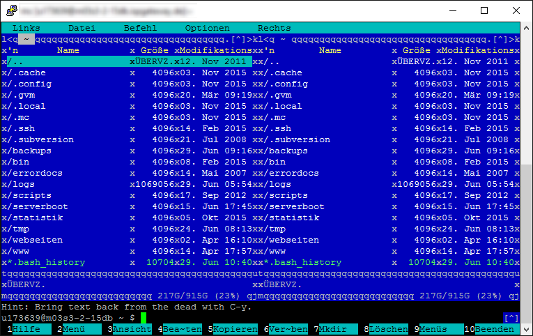 Midnight Commander with encoding problems