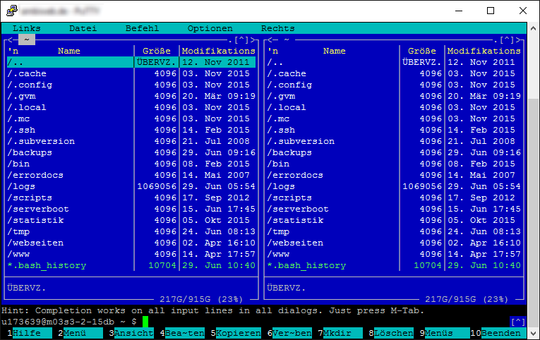 Midnight Commander with correct encoding